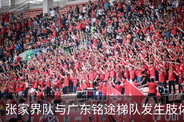 张家界队与广东铭途梯队发生肢体冲突，湖南省足协：暂停涉事人员参加省内一切足球活动
