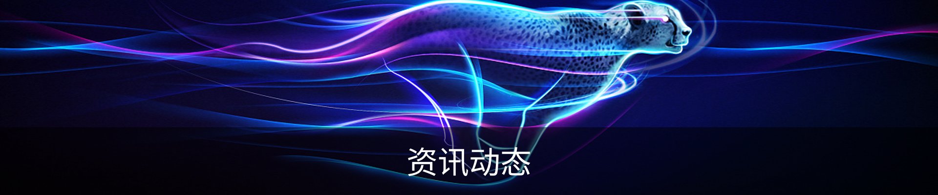 资讯动态